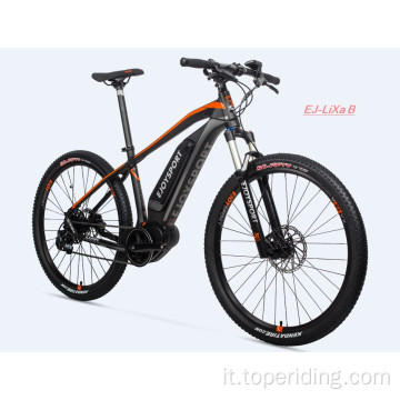 Bici da strada elettrica personalizzata